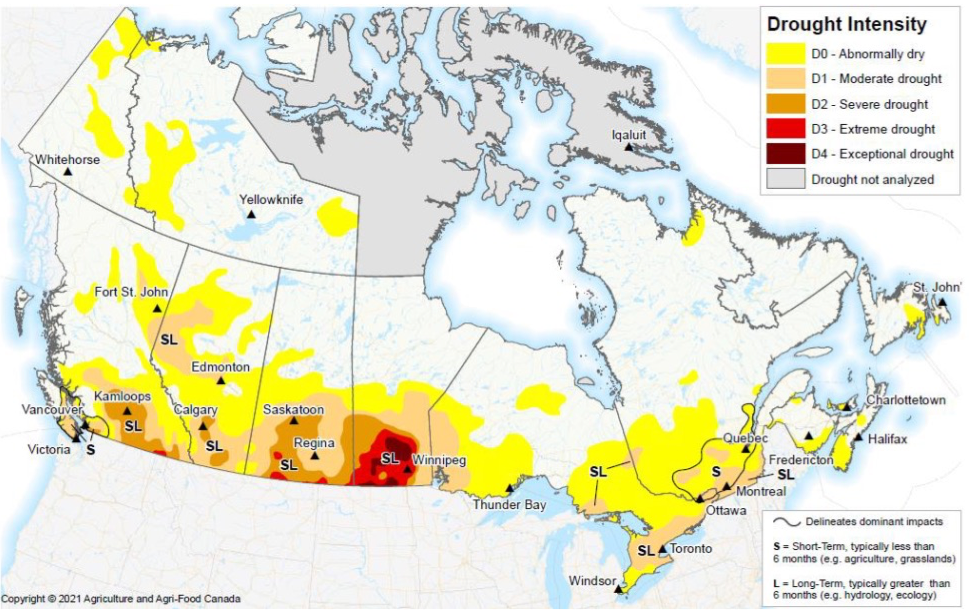 Map of Canada with the areas in drought highlighted following the Drought Monitor Index..